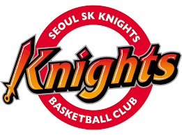 SEOUL SK KNIGHTS Team Logo